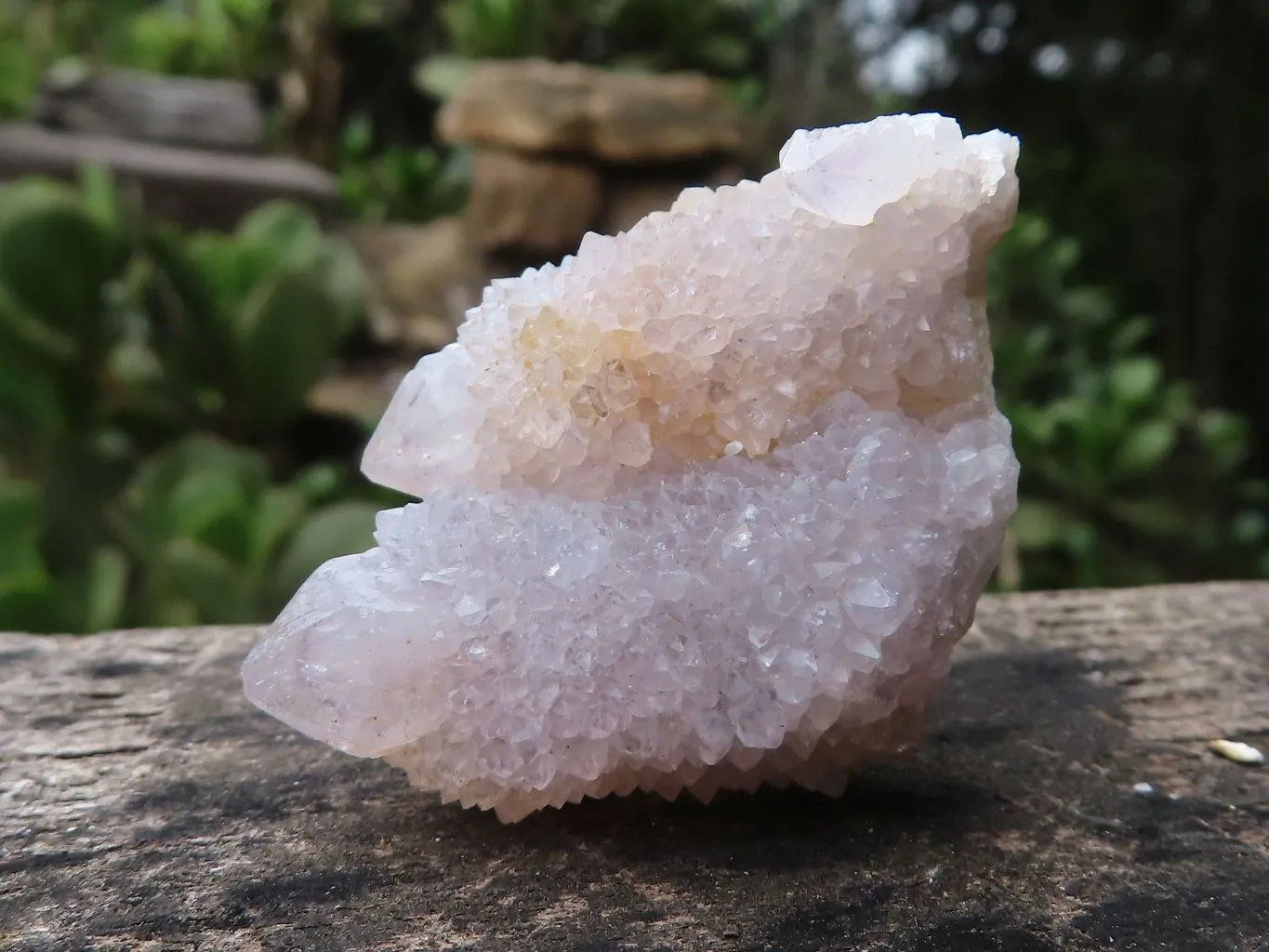 Natural Mixed Selection Of Mini Spirit Quartz Clusters x 35 From Boekenhouthoek, South Africa