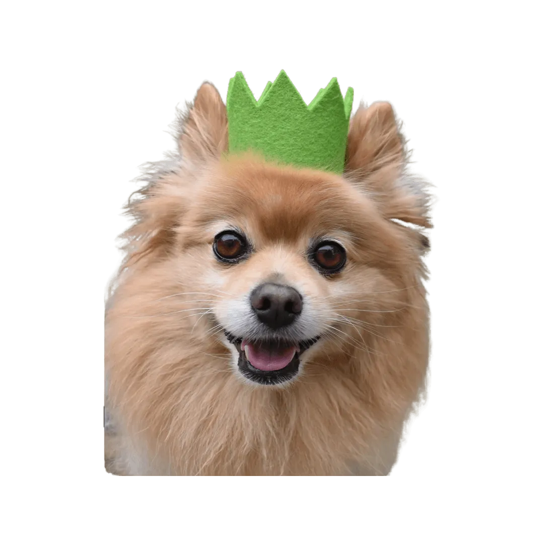 Party Beast Crown