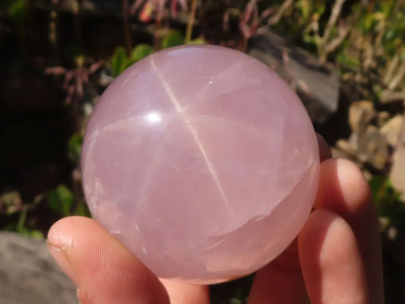 Polished Star Blue Rose Quartz Spheres x 3 From Ambatondrazaka, Madagascar